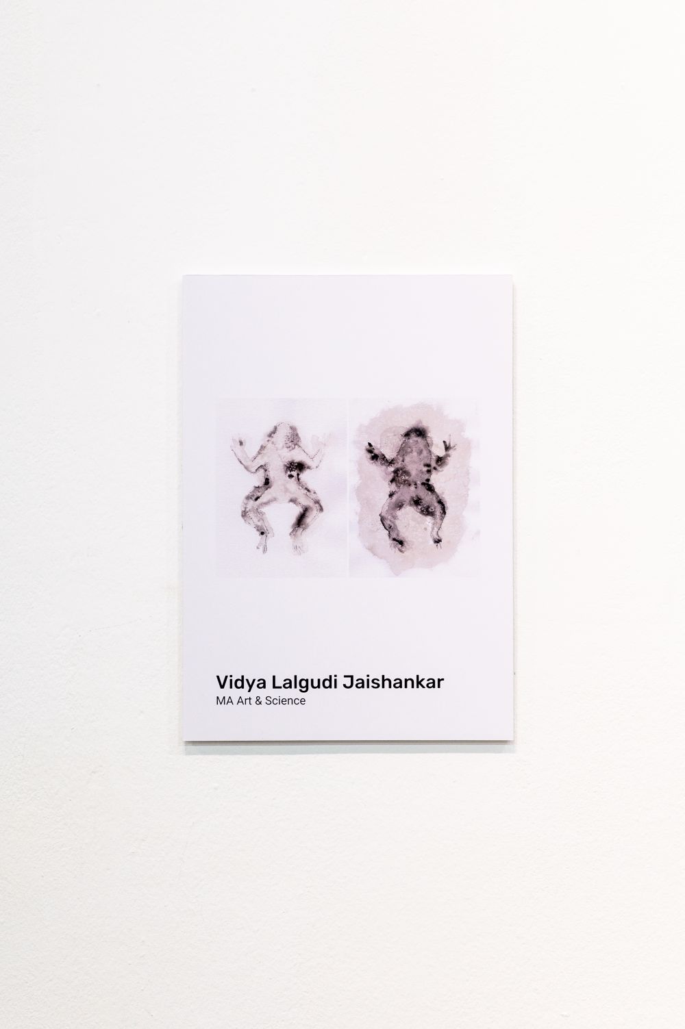 Artwork of Vidya Lalgudi Jaishankar