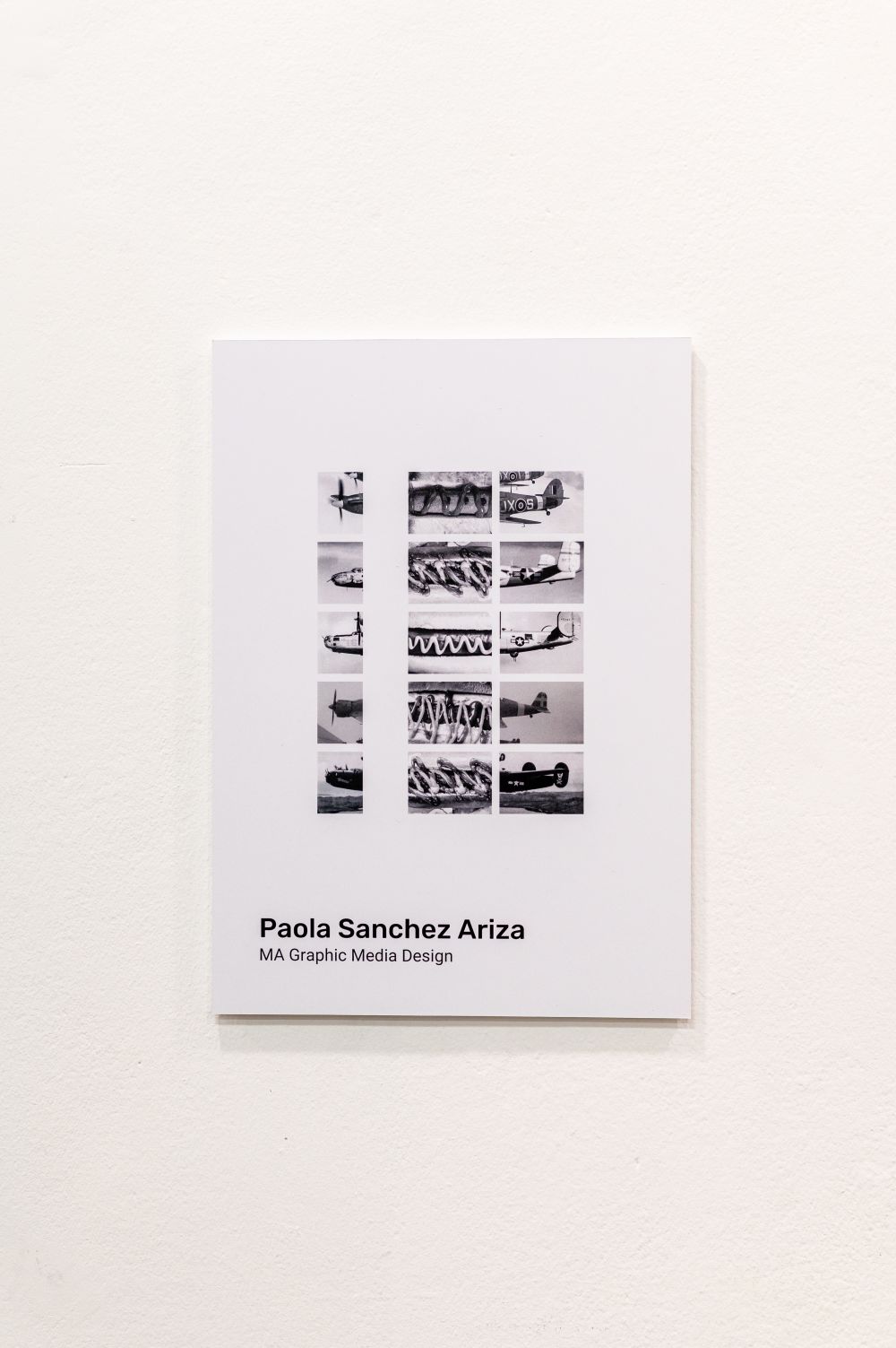 Artwork of Paola Sanchez Ariza