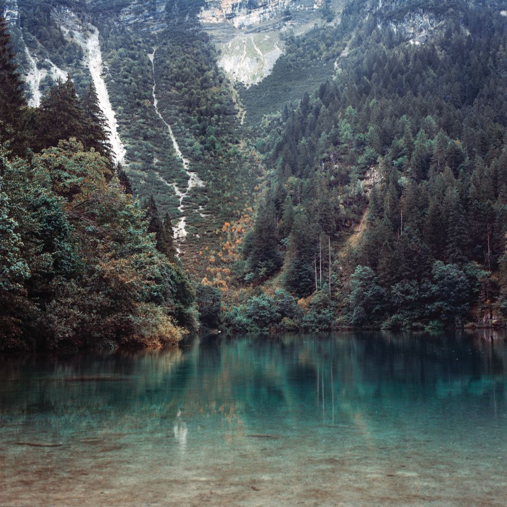 Photo of a picturesque lake and forst