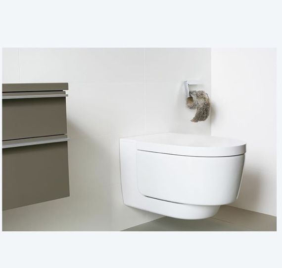 image of a contemporary looking toilet