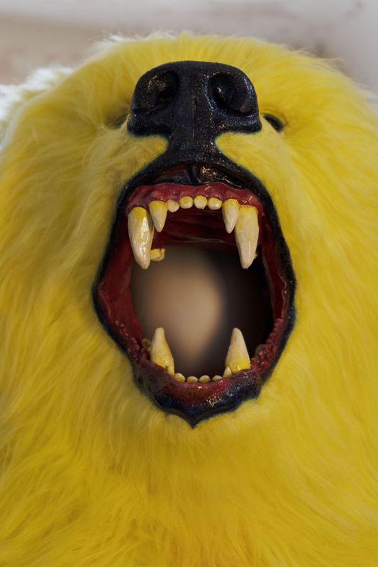 Yellow bear costume