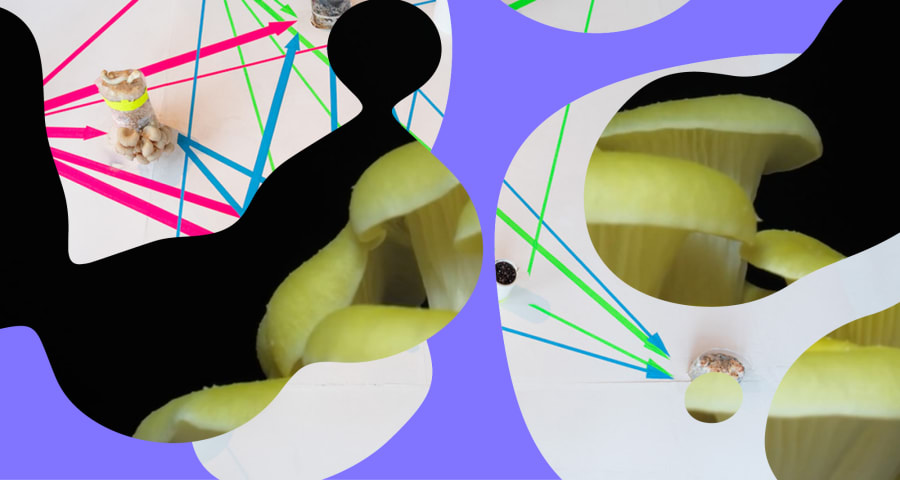 Design by Boyle & Perks featuring the work of Jane Lawson photographed by Julian Lister