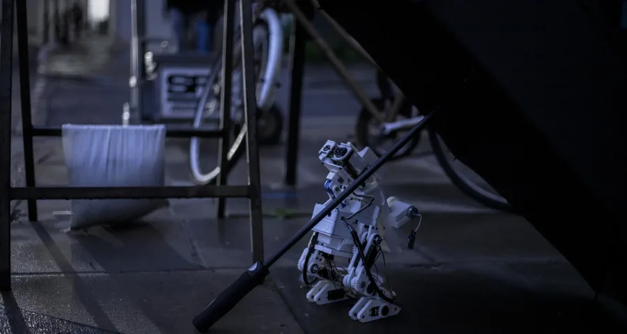 CanaryBots: AI & ME by Kecheng Zhu