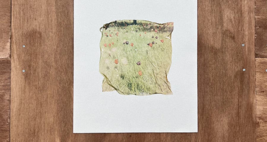 A photography of a texture