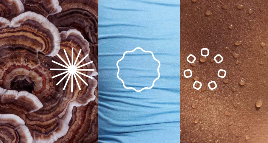 MA Innovation Management Logos for Emergence 2025